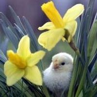 Bryden Matthew Delavega