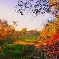 Bruce Winans Edwards