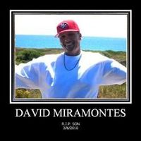 David Miramontes