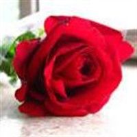 Jane Bennett-Hendrix