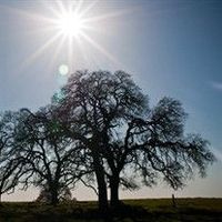 Salvador Hernandez-Cabrera