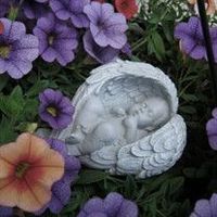 Xaiver Ventura Camarena Michel