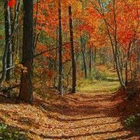 Chanthavy Chanthapaseuth