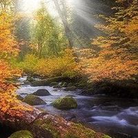 Jose Garcia-Enriquez