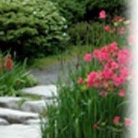 Patricia McHugh Dozier