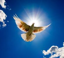 MANUEL PICHARDO URBINA