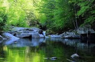 Giovanni Gomez Villegas