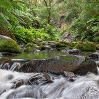 Wyman \"Dave\" Ellis