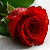 Marilyn \"Lynn\" Kumli