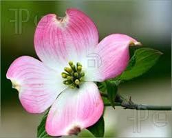 Michelle Berglund-Smith