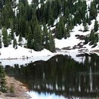 Richard \"Doc\" Dodd