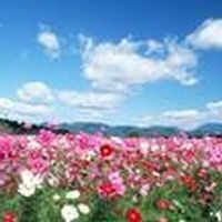 Kathleen \"Kathy\" Chavez