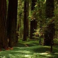 Harry \"Pete\" Hanson