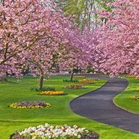 Melissa Esquivel-Flores