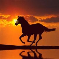 Jose \"Rodrigo Rosas\" Roman