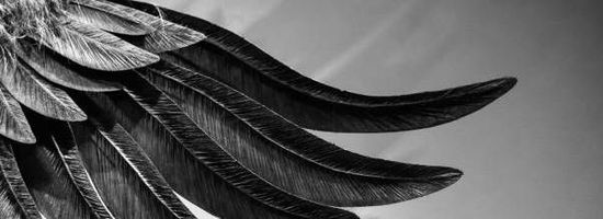 Amy Jaramillo - Martinez