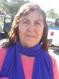 Enriqueta Portillo De Campos