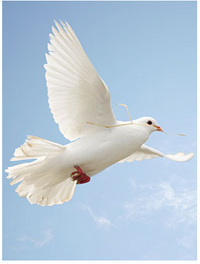 Angelina \"Angie\" Pondalane