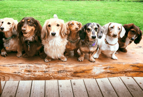 Eileen \"Lee\" Arnold