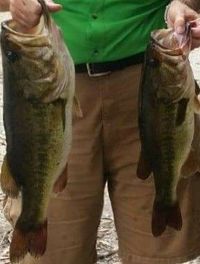 Joseph \"Joe\" Berling