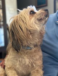 Kazuko \"Katy\" Hicks