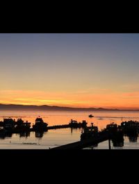 Marjorie \"Marge\" Springer