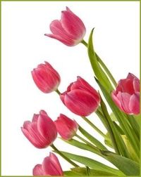 Marsha \"Paul\" Menneke