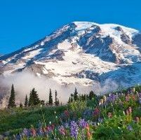 Jerald \"Jerry\" Keselburg