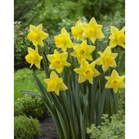 Patricia \"Pat\" Moore