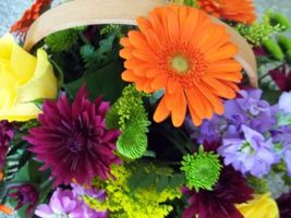 Janice \"Maggard\" Eichner