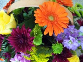 Chieko \"Nakamura\" Leonard