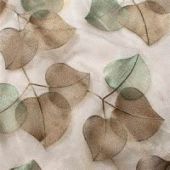 Barbara Niederhauser