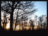 Joseph Morrissey, Jr.