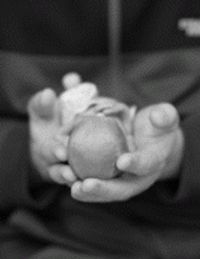 Rowan  Francis McDonnell-Keough