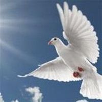 Archie \"Fud\" Coffee