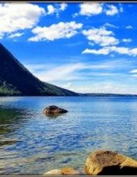 B.Jacqueline \"Patrie\" Willemain