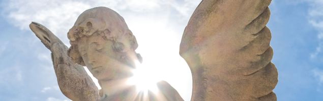 Frances \"Fran\" Reed