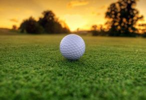 Ronald \"Ronnie\" Britt