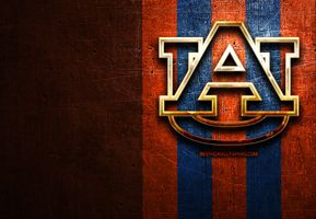 William (Wills) Dolbeare