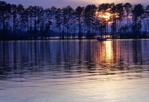 William \"Bill\" Johnson