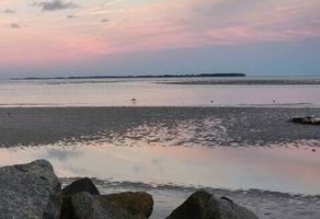 Alexander \"Alex\" Adam