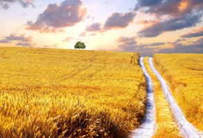 William \"Bill\" Lafferty