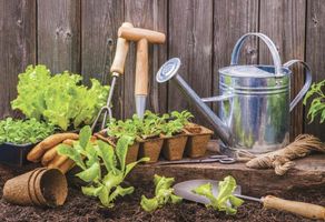 Robert \"Bob\" Savage