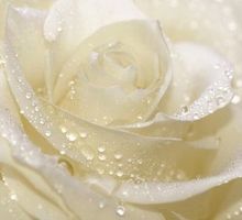 Rebecca \"Corky\" McCorquodale