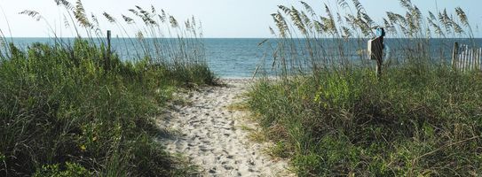 Robert \"Bobby\" Shull