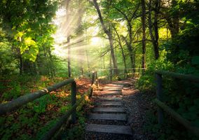 James \"Jimmy\" Bennett, Jr.