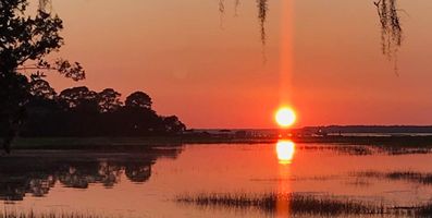 Newman \"Bill\" Robinson, Jr.