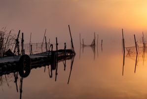 Joseph \"Zipper\" Nelson