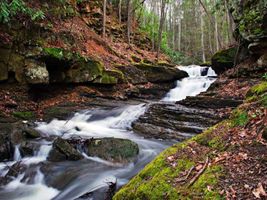Jeffrey Sandridge, Sr.
