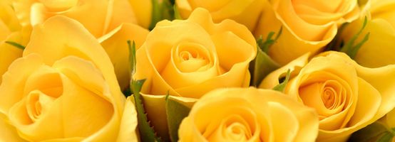 Deborah \"Deb\" Baird